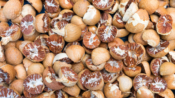 春节补充药膳要慎重     坚持不乱补、不滥补的原则