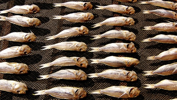 土豆烂了可以吃吗？土豆怎么吃最健康