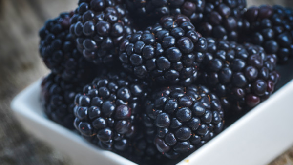 什么人群不能吃棉根？棉根的功效有哪些？