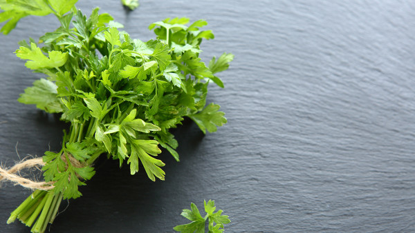 中医减肥靠谱吗?推荐中医减肥方法