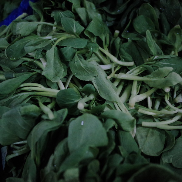 有什么瘦腿方法吗?生活中最流行的瘦腿方法