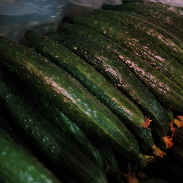 健康实用减肥方法有哪些?这些方法让你瘦出苗条身材