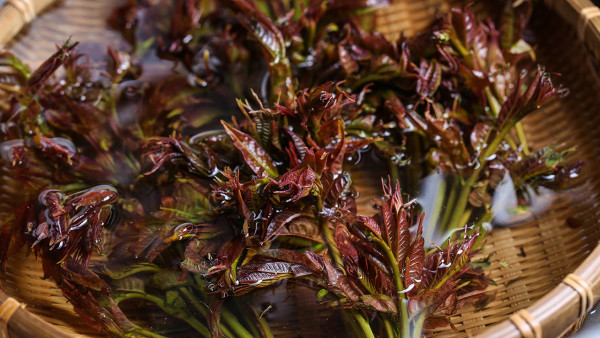 厌食症是怎么引起的?中药减肥轻松享瘦
