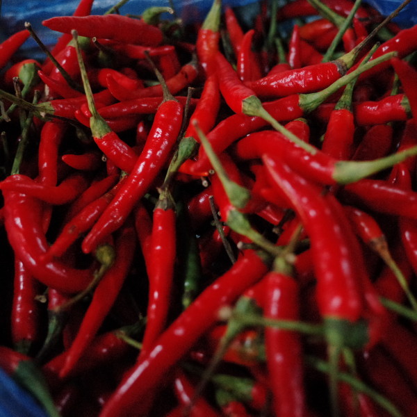 排毒的食物有哪些?推荐7款排毒减肥食谱