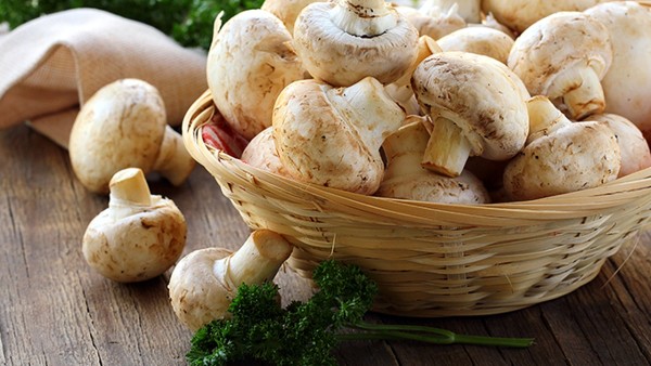 拒绝肥胖应该怎么做?做好5个减肥方法大放送