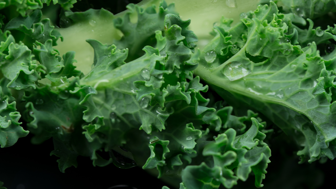 春季减肥方法有哪些?推荐 6个不可错过小妙招