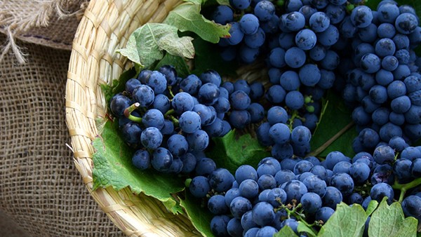 西红柿瘦身食谱的做法  夏日酸甜消脂就这样吃