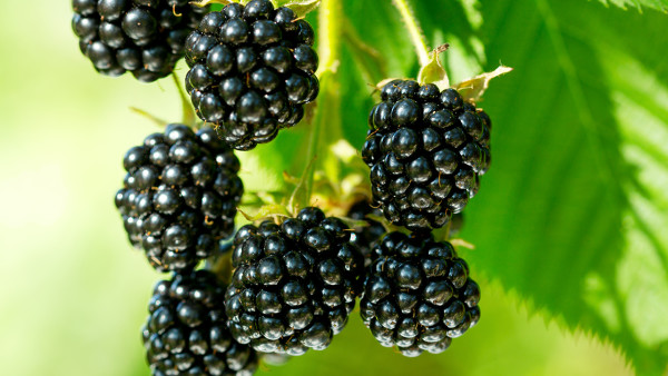 健康的减肥方法有哪些？五分钟瘦身操还你魅惑身段