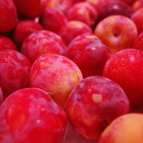 断食排毒减肥法是什么？正确断食瘦身法日减脂2斤