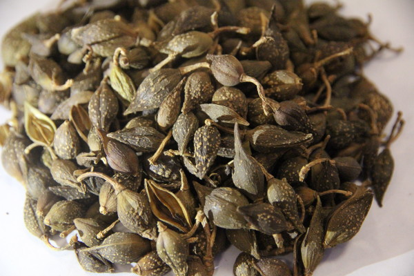 哪些中药减肥方没有副作用？这些中药减肥方法效果超好