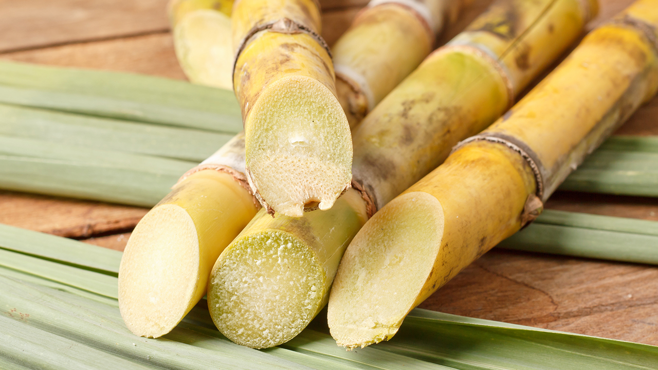 权威解读各种减肥方法  不同减肥方法的利与弊