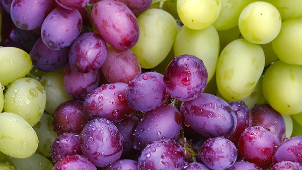 4大瑜伽减肥动作是什么？这样练帮你练出健康最美身型