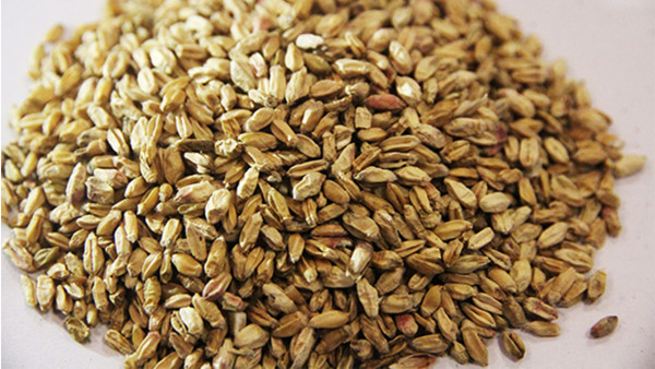 强效中药减肥药方是什么？3招帮你消肿瘦身见效快