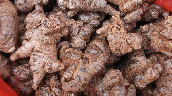 推荐三款中药减肥茶  帮你把三类肥胖各个击破