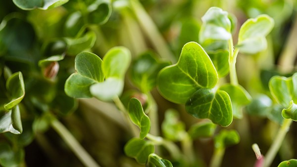 有没有快速的减肥方法?10分钟快速减肥方法赶紧学起来