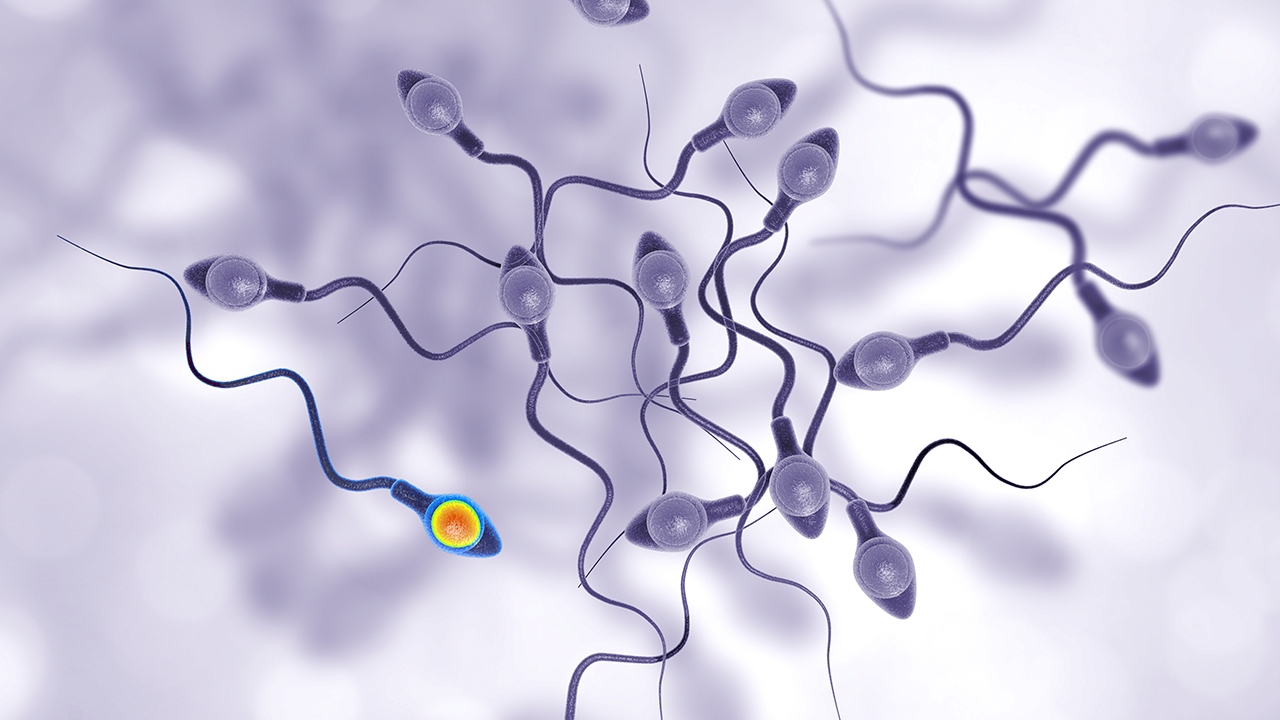 男子为何会脱发?如何早期发现男性型脱发?